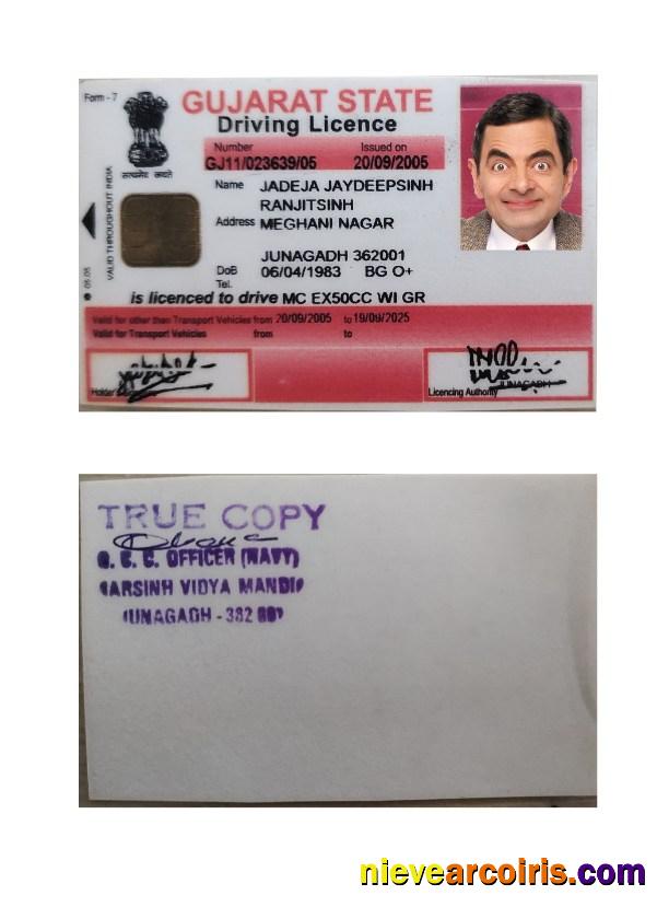 India Gujarat state driving license